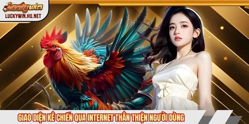 Giao diện coi đá gà mạng qua internet thân thiện