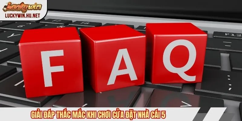 Giải đáp khi chơi tỷ lệ bóng đá kèo nhà cái 5