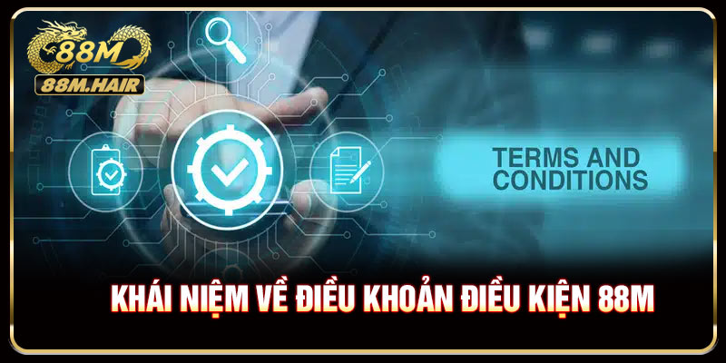 Khái niệm chính sách điều khoản điều kiện 88M